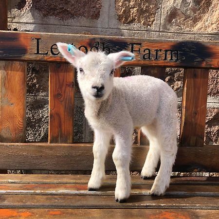 Lettoch Farm Bed & Breakfast Dufftown Eksteriør bilde
